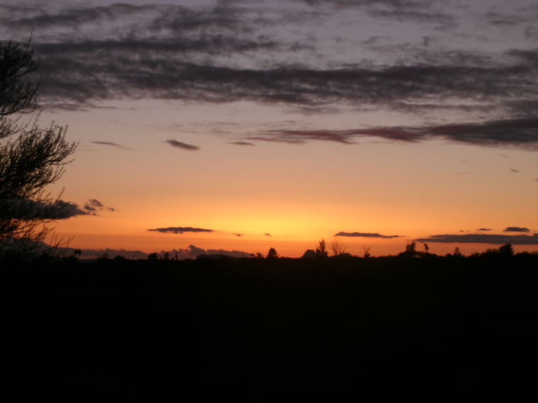 Desert sunset